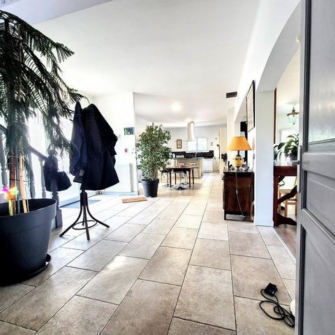 photo no. 23