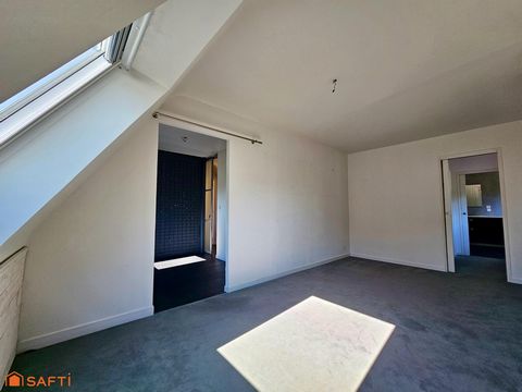 photo no. 13