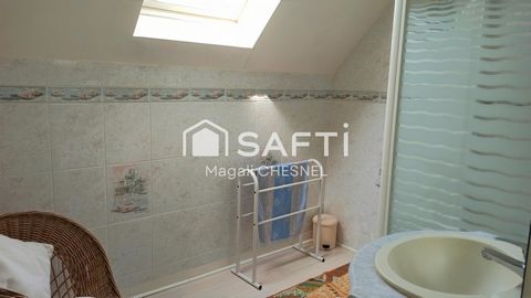 photo no. 12