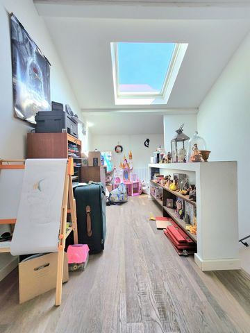 photo no. 5