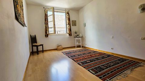 photo no. 7
