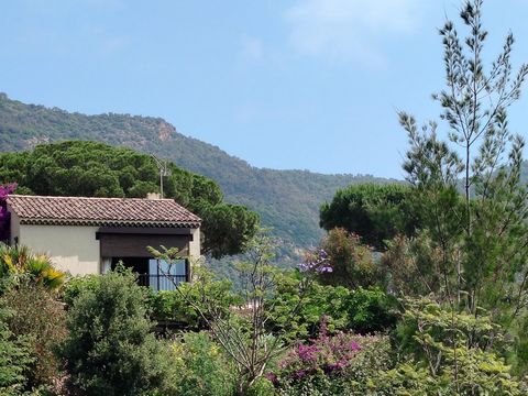 MAZET VUE MER DANS UN ECRIN DE VERDURE