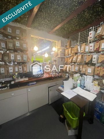 photo no. 13