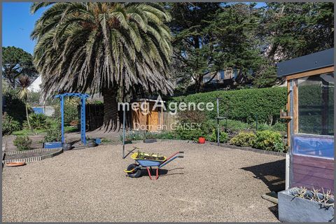 photo no. 12
