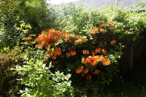 photo no. 24