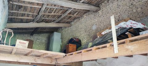 photo no. 10