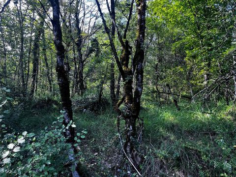 Terrain de loisir