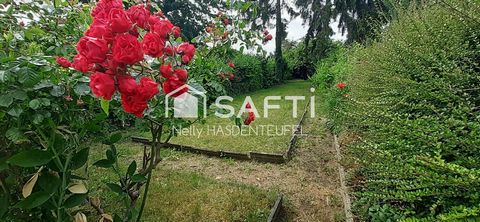 photo no. 9