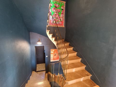 photo no. 11