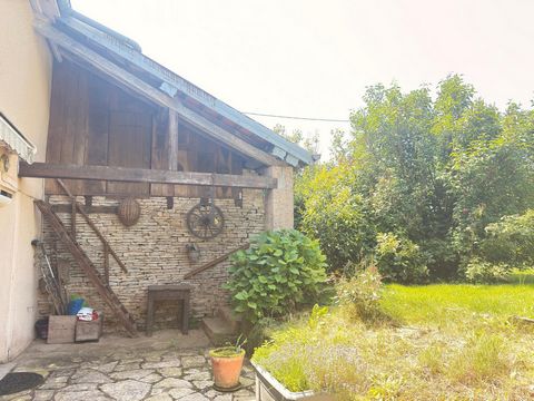 photo no. 2