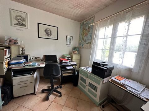 photo no. 15