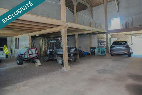 photo no. 10
