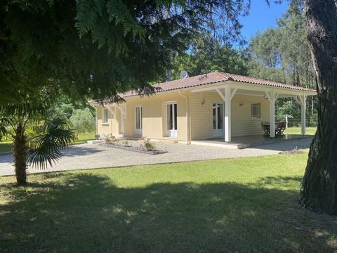 photo no. 11