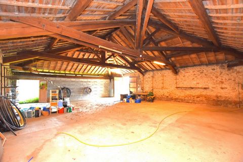 photo no. 13