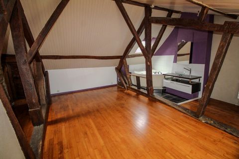 photo no. 16