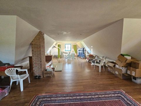 photo no. 14