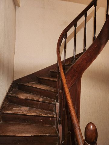 photo no. 7