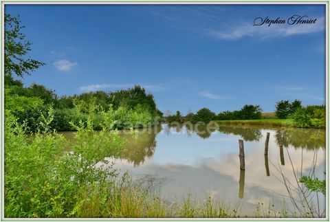 Terrain à vendre de 31 710,00 m² BOULT AUX BOIS (08)