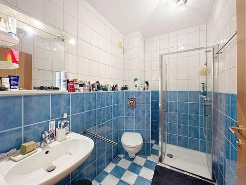 photo no. 8