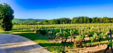 LOT DOMAINE VITICOLE AOC CAHORS 19 HA