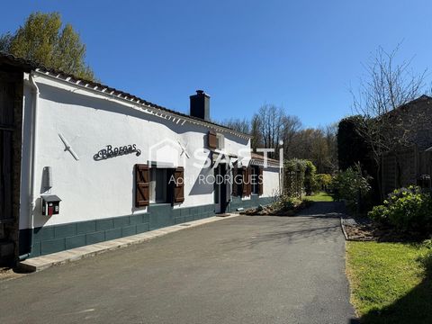 photo no. 11