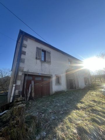 photo no. 3