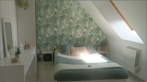 photo no. 15