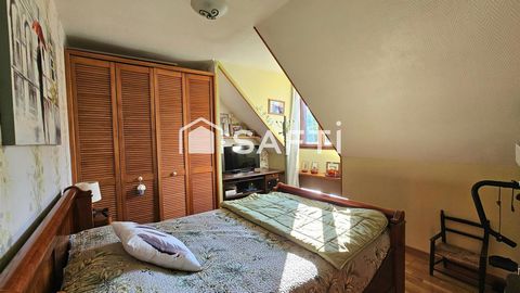 photo no. 10