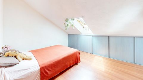 photo no. 11
