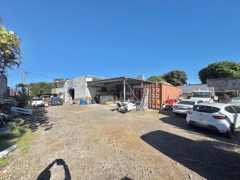 photo no. 2