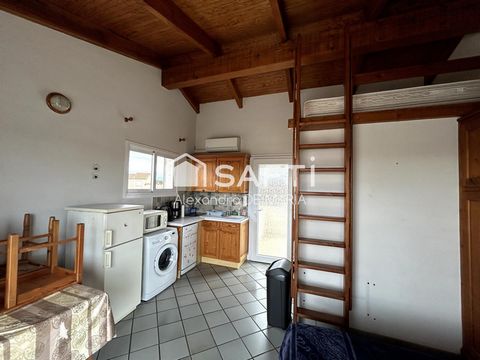 photo no. 10