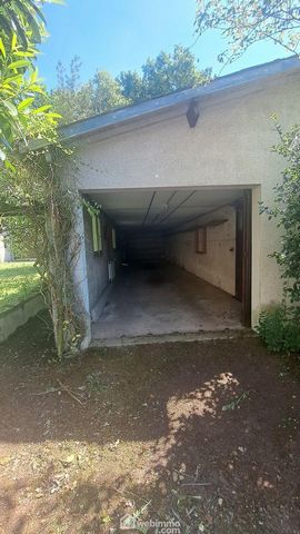 photo no. 16