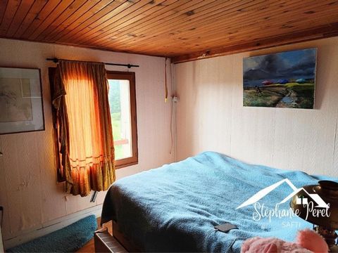 photo no. 7