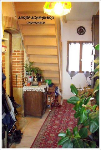 photo no. 1