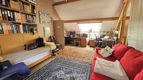 photo no. 18