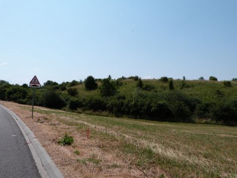 photo no. 1