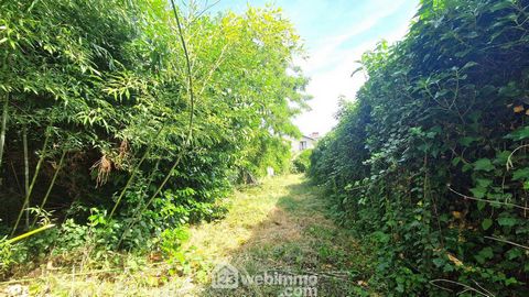 photo no. 13