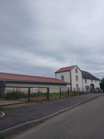 photo no. 4