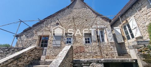 photo no. 16
