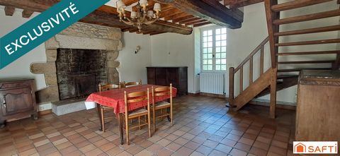 photo no. 9