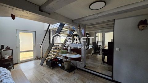 photo no. 11