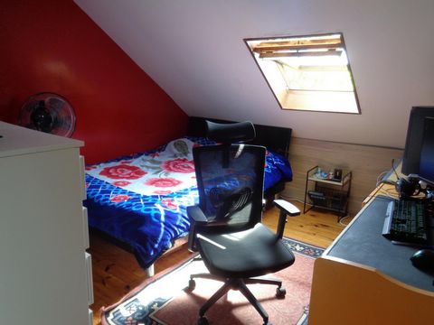 photo no. 9