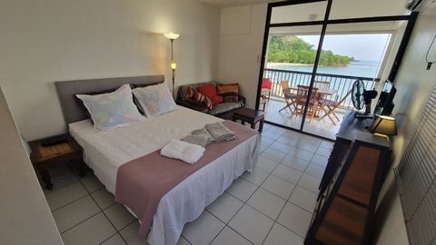 Magnifique appartement F1 vue mer pieds dans l'eau