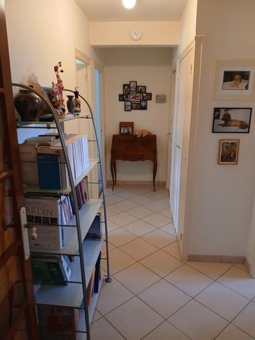 photo no. 8