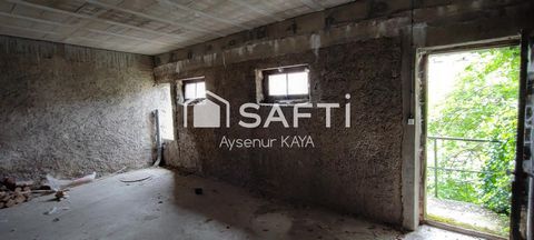 photo no. 19