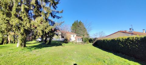 photo no. 1