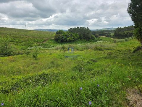 Terreno com 9.620m², sendo que cerca de 6.000m² encontram-se em Espaço Urbano Nível 3, o que possibilita a construção de cerca de 11 habitações. Atualmente tem uma casa com 215m² para recuperação ou demolição. Pode assim aproveitar a área de construç...