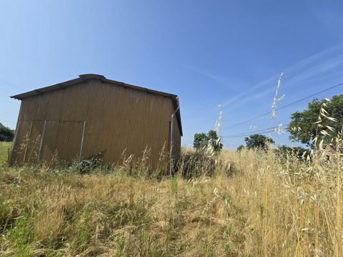 photo no. 6