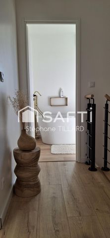 photo no. 12