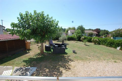 photo no. 11